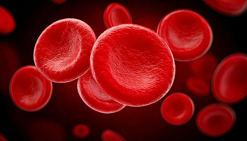Blood Plasma Fractionation
