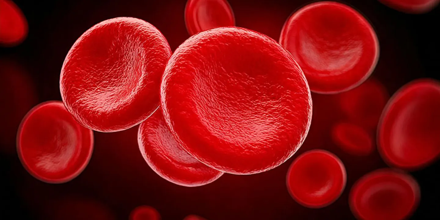 Blood Plasma Fractionation