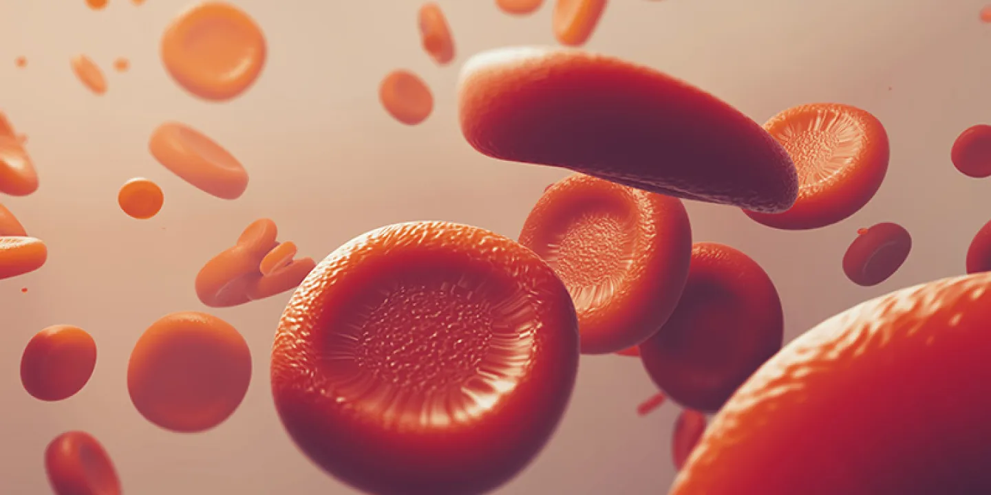 What is Blood plasma fractionation