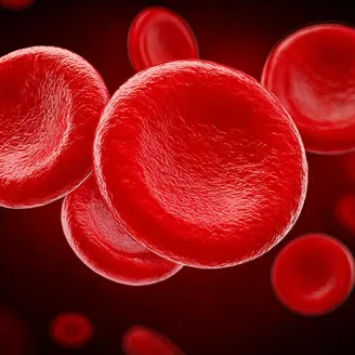 Blood Plasma Fractionation